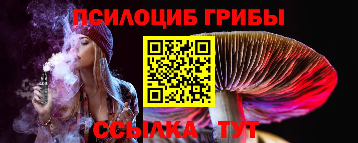 Димитровград  Галлюциногенные грибы Cubensis  Вход с VPN  Псилоцибиновые грибы Psilocybine cubensis 